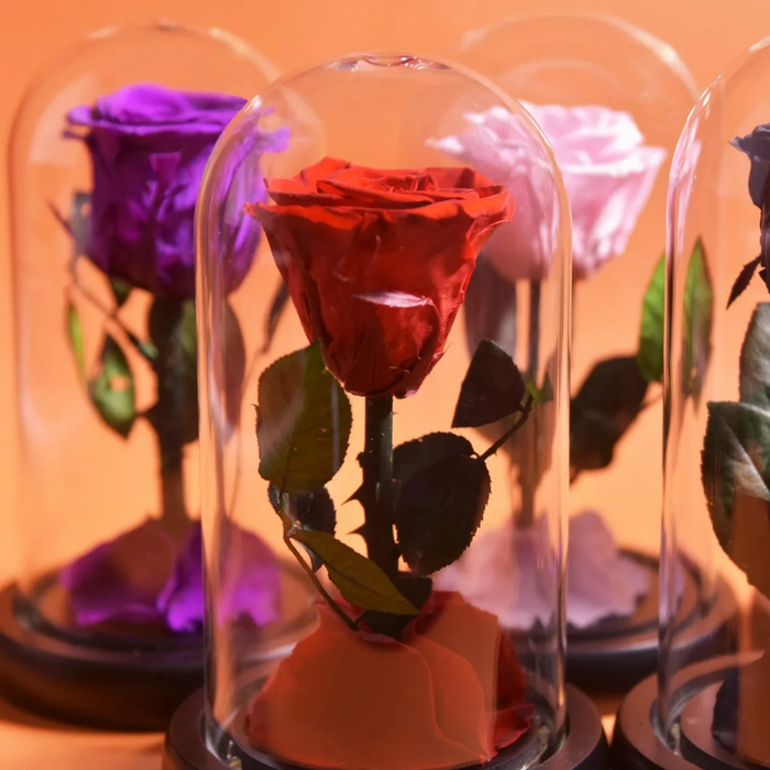 Forever Rose In Glass Dome