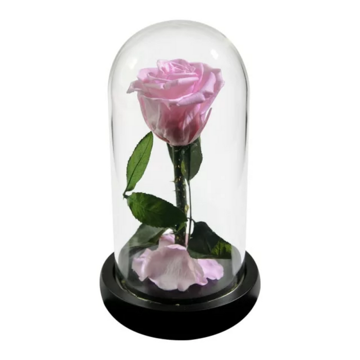 Forever Rose In Glass Dome
