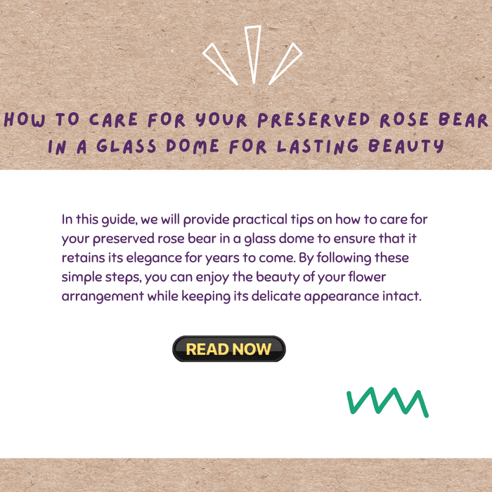How to Care for Your Preserved Rose Bear in a Glass Dome for Lasting Beauty