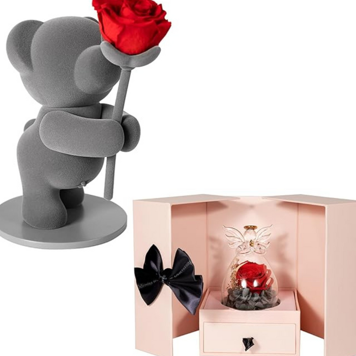 Preserved Rose Bear - With Hidden Jewelry Box Gift Set