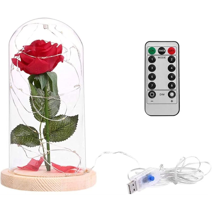 Glass Dome Rose Display With LED Lights