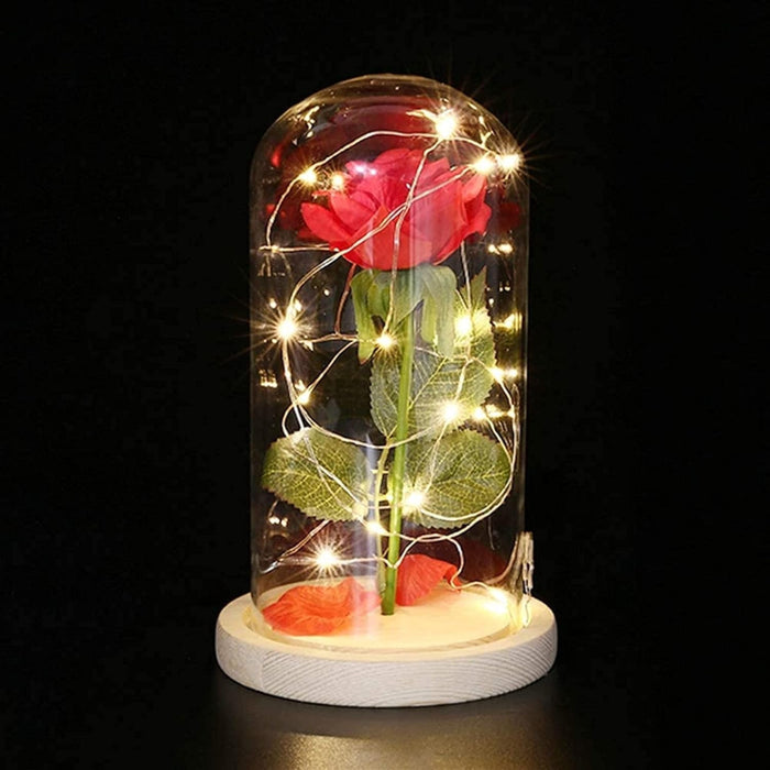 Glass Dome Rose Display With LED Lights