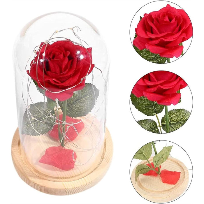 Glass Dome Rose Display With LED Lights