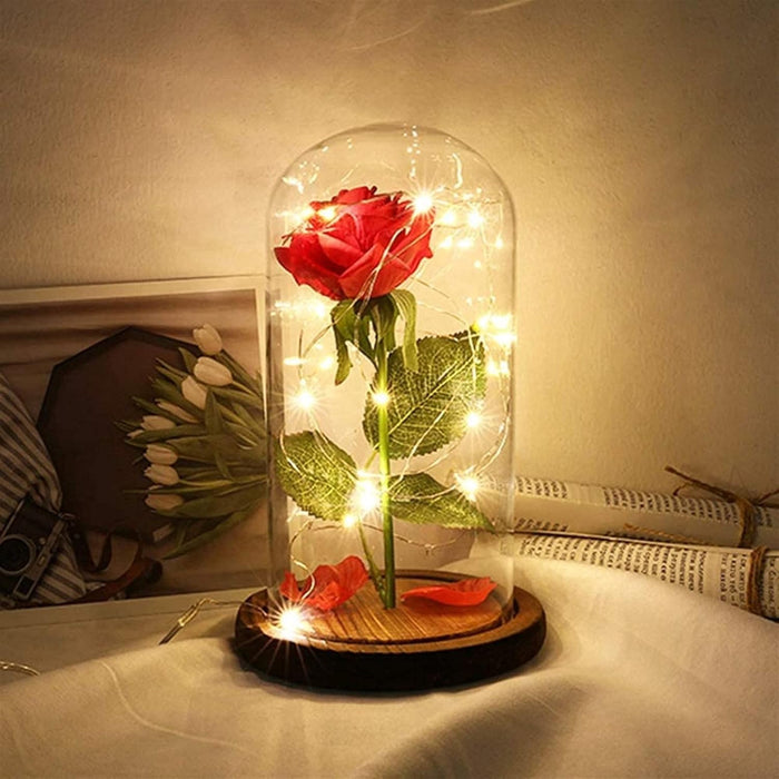 Glass Dome Rose Display With LED Lights