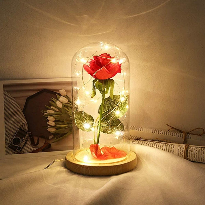 Glass Dome Rose Display With LED Lights