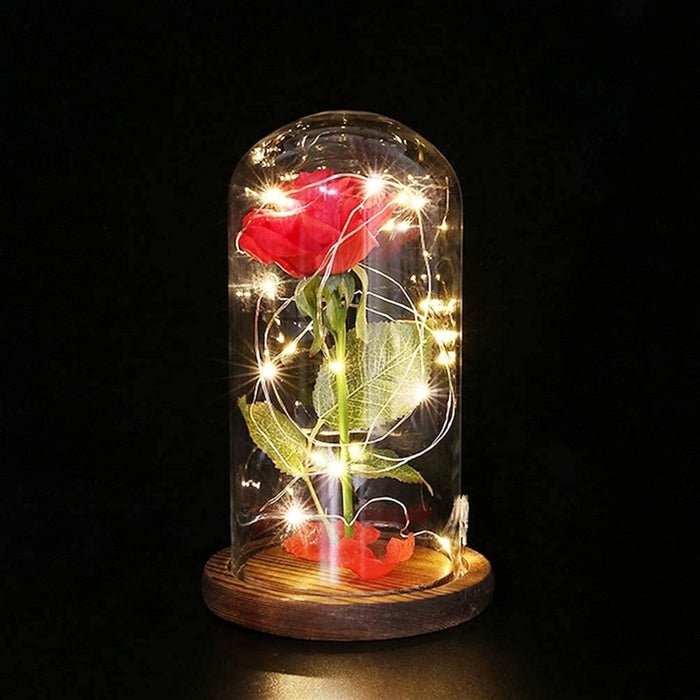 Glass Dome Rose Display With LED Lights