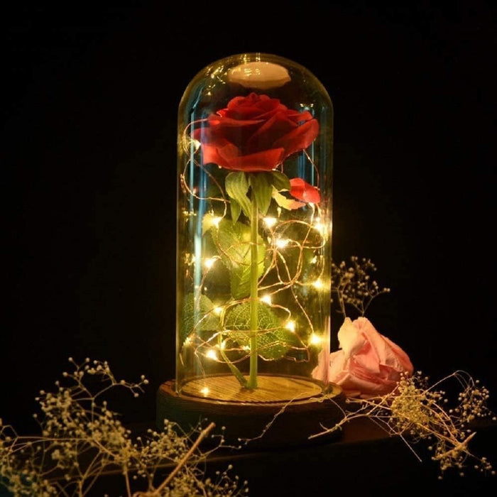 Enchanted Silk Rose In Glass Dome With LED Lights