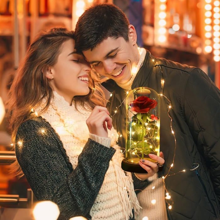 Enchanted Silk Rose In Glass Dome With LED Lights