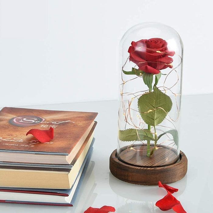 Enchanted Silk Rose In Glass Dome With LED Lights