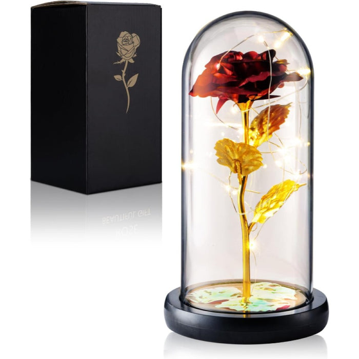 LED Preserved Rose Display