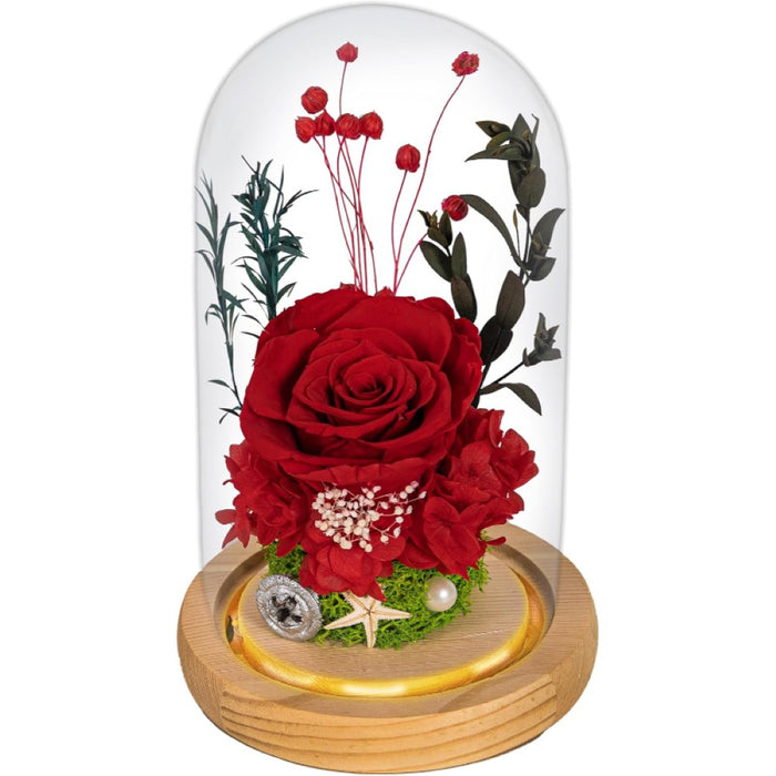 Preserved Rose Glass Dome Light