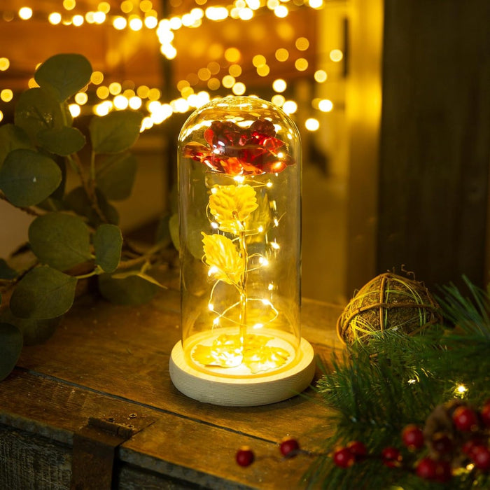 Rose In Glass Dome With LED Lights