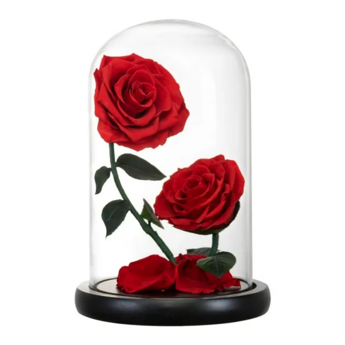 Two-Headed Rose Dome