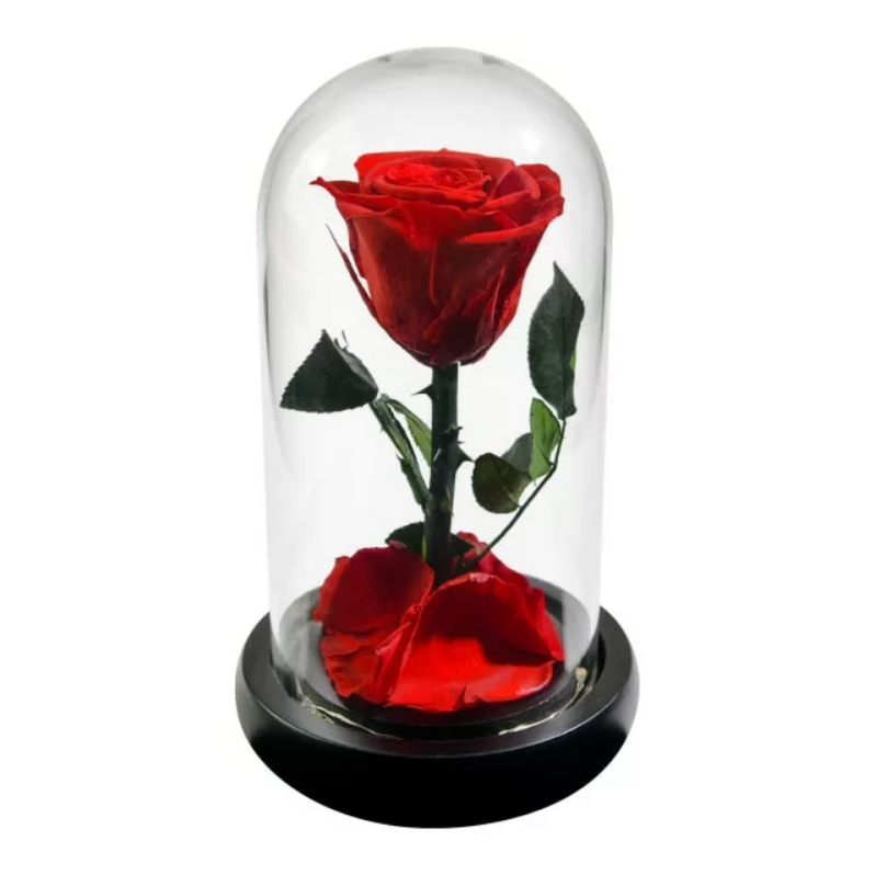 Forever Rose In Glass Dome — Flower Teddy Bear