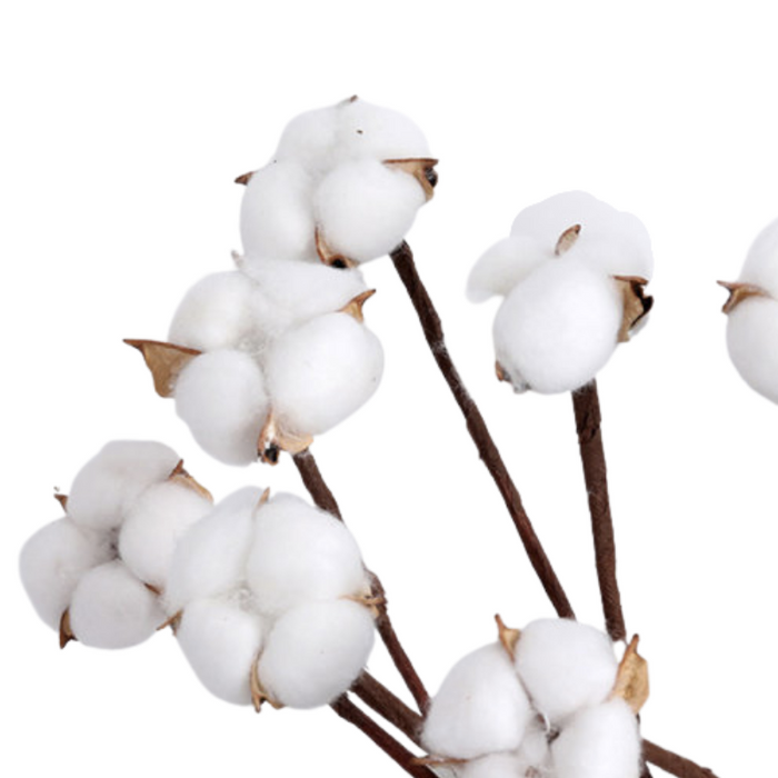 Cotton Flower Decorative