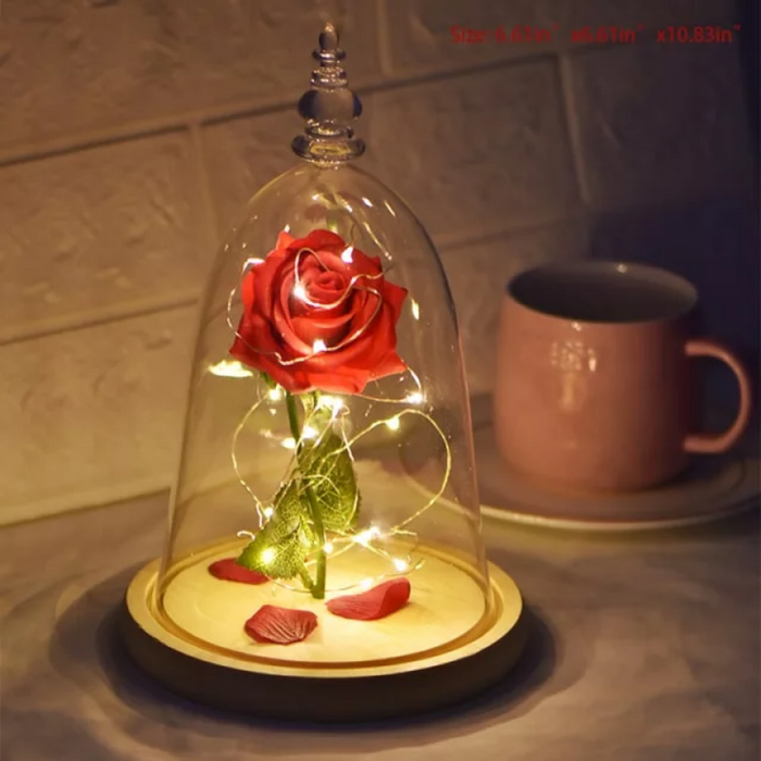 Preserved Rose In Glass Dome