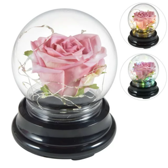Mini Rose Dome