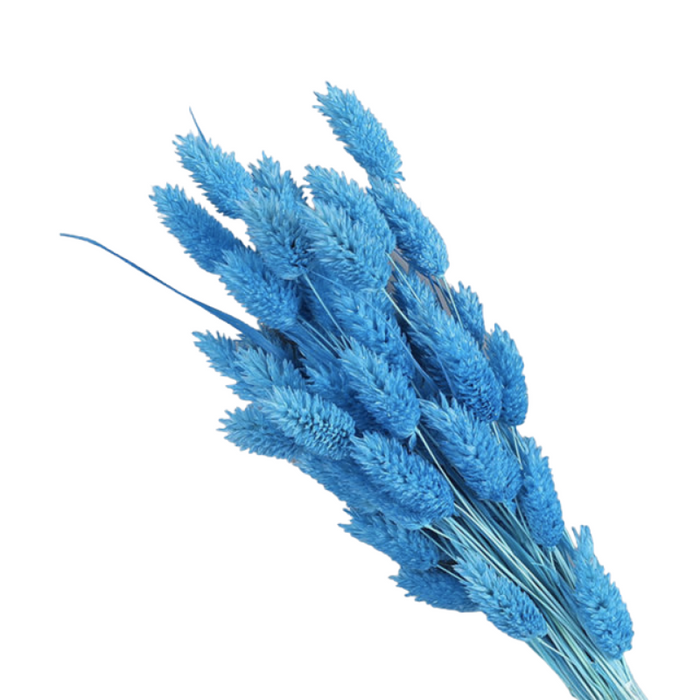 Dried Pampas Flower