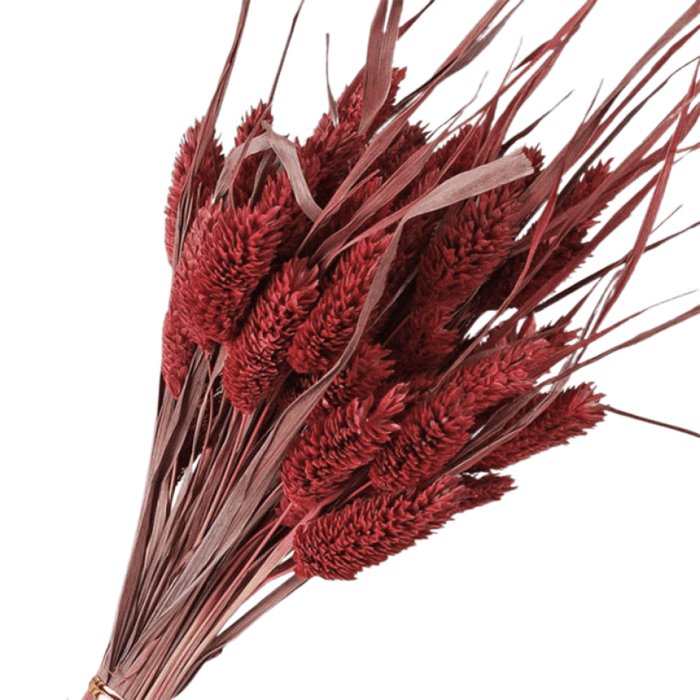 Dried Pampas Flower